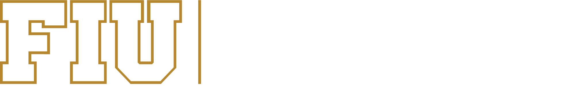 Center for Development, Support, and Success in Engineering and Computing Homepage